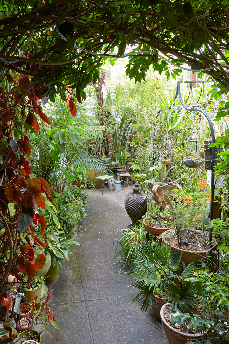 Hidden Urban Paradise: Jim Kumiega's Garden — Flora Grubb Gardens